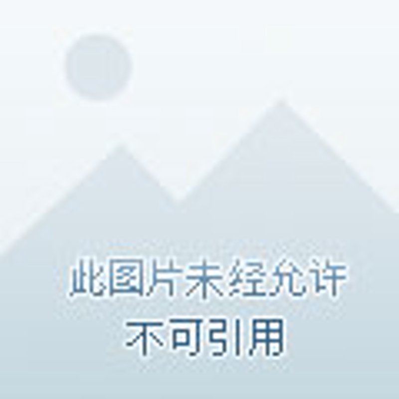 深入解析：如何选择适合自己的健步鞋——从实体店到网店